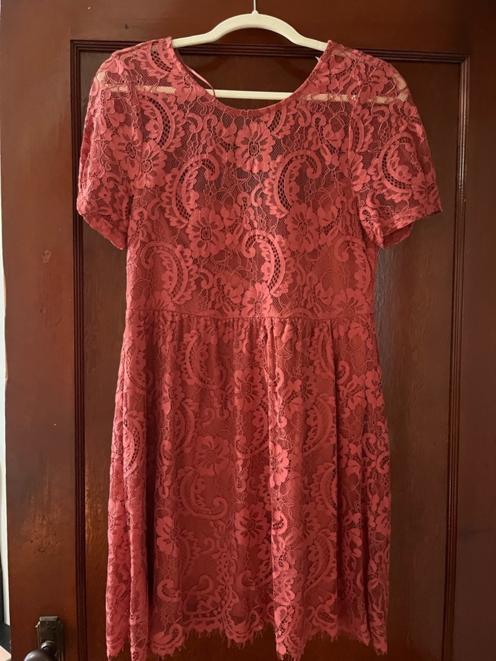 francesca's Burgundy Lace Short Sleeve Fit-and-Flare Dress